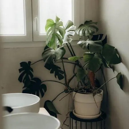 Chaleureux Ecoresponsable * Montesquieu-Lauragais