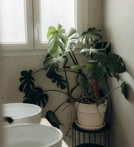 Chaleureux Ecoresponsable * Montesquieu-Lauragais